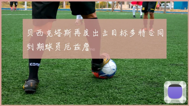 贝西克塔斯再度出击目标多特合同到期球员厄兹詹